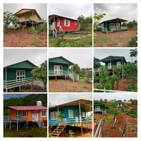 Mango Forest Resort